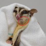 下顎が腫れている様子